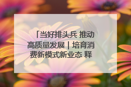 当好排头兵 推动高质量发展｜培育消费新模式新业态 释放经济增长新动能