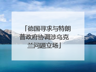 德国寻求与特朗普政府协调涉乌克兰问题立场