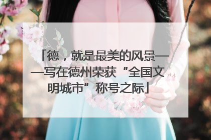 德，就是最美的风景——写在德州荣获“全国文明城市”称号之际