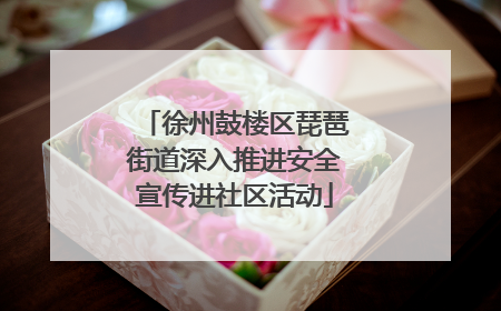 徐州鼓楼区琵琶街道深入推进安全宣传进社区活动