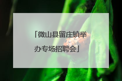 微山县留庄镇举办专场招聘会