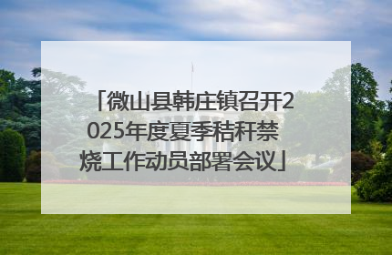 微山县韩庄镇召开2025年度夏季秸秆禁烧工作动员部署会议