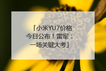 小米YU7价格今日公布！雷军：一场关键大考