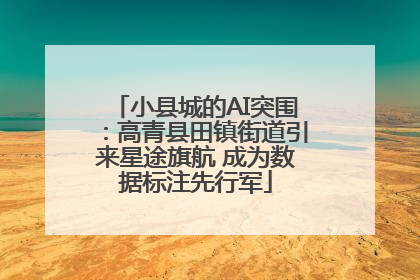 小县城的AI突围：高青县田镇街道引来星途旗航 成为数据标注先行军