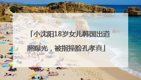 小沈阳18岁女儿韩国出道照曝光，被指撞脸孔孝真