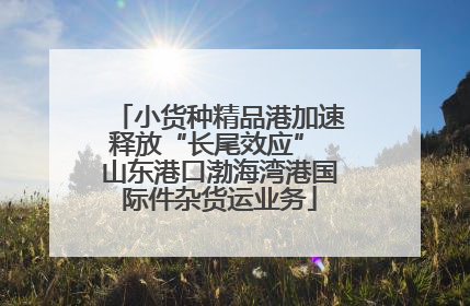 小货种精品港加速释放“长尾效应” 山东港口渤海湾港国际件杂货运业务