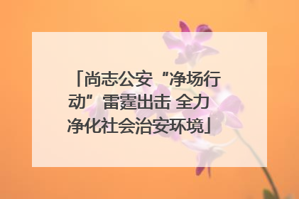 尚志公安“净场行动”雷霆出击 全力净化社会治安环境