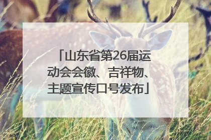 山东省第26届运动会会徽、吉祥物、主题宣传口号发布