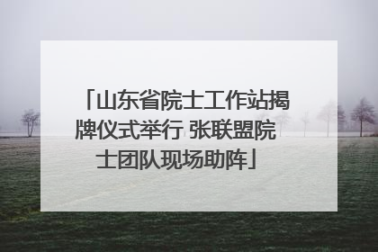 山东省院士工作站揭牌仪式举行 张联盟院士团队现场助阵