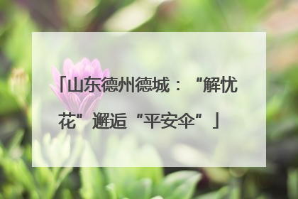 山东德州德城：“解忧花”邂逅“平安伞”