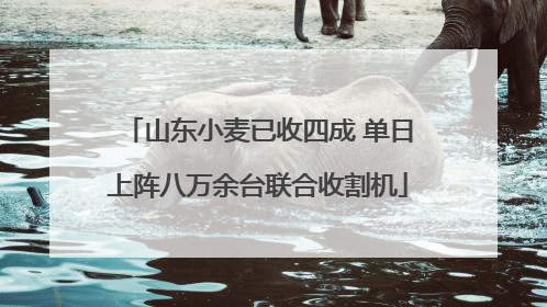 山东小麦已收四成 单日上阵八万余台联合收割机