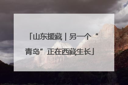 山东援藏｜另一个“青岛”正在西藏生长
