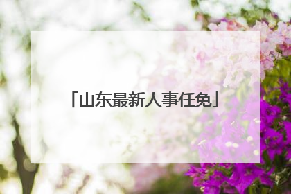 山东最新人事任免