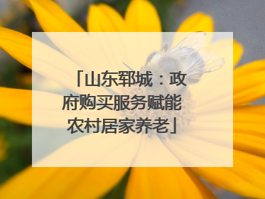山东郓城：政府购买服务赋能农村居家养老