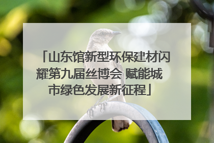 山东馆新型环保建材闪耀第九届丝博会 赋能城市绿色发展新征程