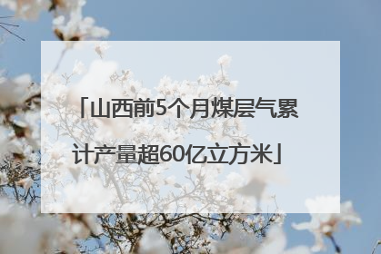 山西前5个月煤层气累计产量超60亿立方米