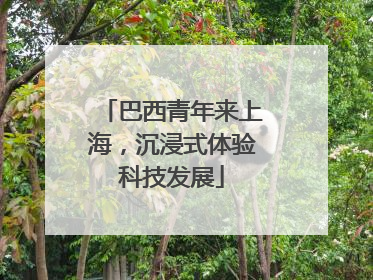 巴西青年来上海，沉浸式体验科技发展