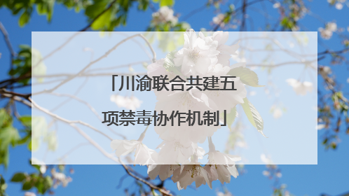 川渝联合共建五项禁毒协作机制