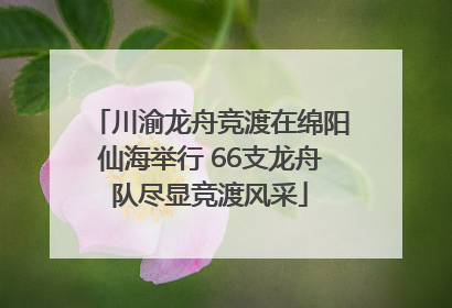 川渝龙舟竞渡在绵阳仙海举行 66支龙舟队尽显竞渡风采