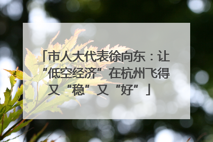 市人大代表徐向东：让“低空经济”在杭州飞得又“稳”又“好”
