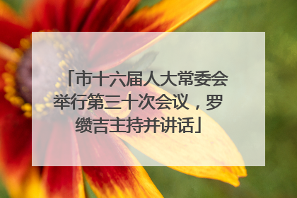 市十六届人大常委会举行第三十次会议，罗缵吉主持并讲话