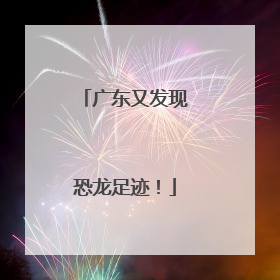 广东又发现恐龙足迹！