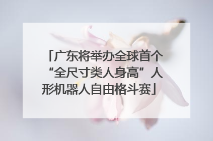 广东将举办全球首个“全尺寸类人身高”人形机器人自由格斗赛