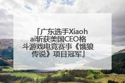 广东选手Xiaohai斩获美国CEO格斗游戏电竞赛事《饿狼传说》项目冠军