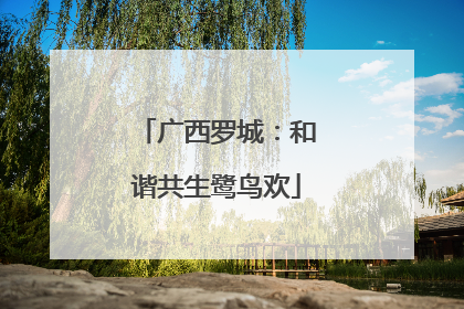 广西罗城：和谐共生鹭鸟欢
