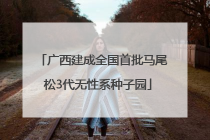 广西建成全国首批马尾松3代无性系种子园