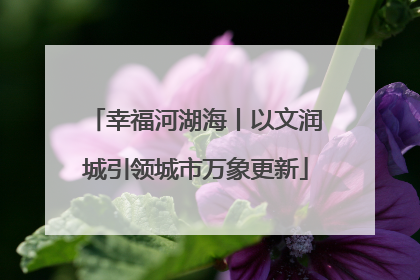 幸福河湖海丨以文润城引领城市万象更新