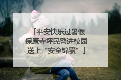平安快乐过暑假 保康寺坪民警进校园送上“安全锦囊”