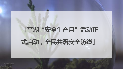 平湖“安全生产月”活动正式启动，全民共筑安全防线
