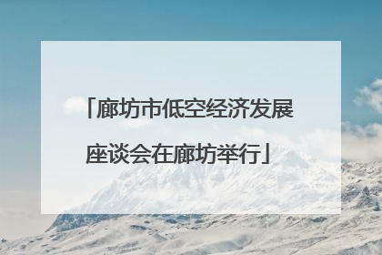 廊坊市低空经济发展座谈会在廊坊举行