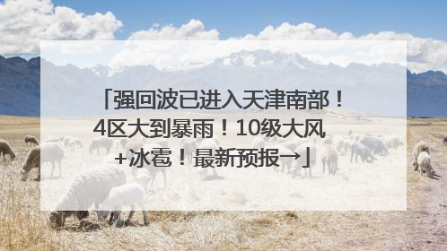 强回波已进入天津南部！4区大到暴雨！10级大风+冰雹！最新预报→