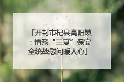 开封市杞县高阳镇：情系“三夏”保安全统战慰问暖人心
