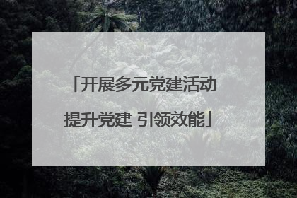 开展多元党建活动 提升党建 引领效能