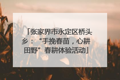 张家界市永定区桥头乡：“手挽春苗，心耕田野”春耕体验活动
