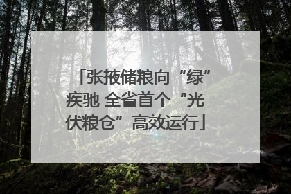 张掖储粮向“绿”疾驰 全省首个“光伏粮仓”高效运行