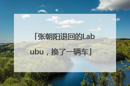 张朝阳退回的Labubu，换了一辆车