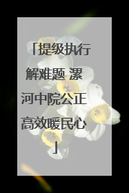 提级执行解难题 漯河中院公正高效暖民心