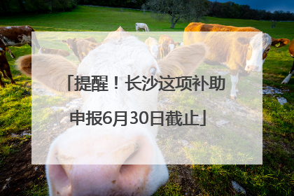 提醒！长沙这项补助申报6月30日截止