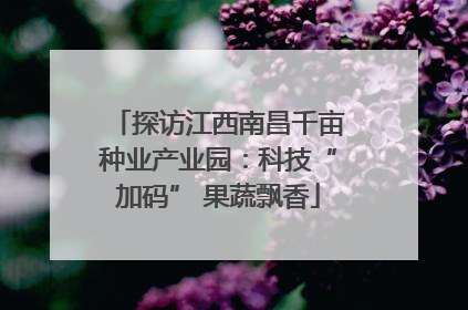 探访江西南昌千亩种业产业园：科技“加码” 果蔬飘香