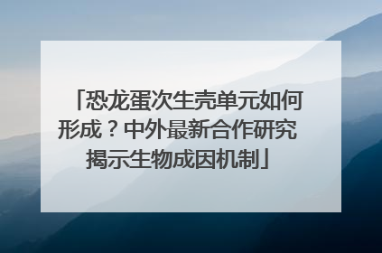恐龙蛋次生壳单元如何形成？中外最新合作研究揭示生物成因机制