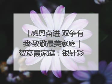 感恩奋进 双争有我·致敬最美家庭｜贺彦霞家庭：银针彩线绣出好日子