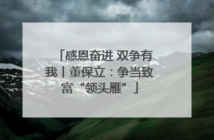 感恩奋进 双争有我丨董保立：争当致富“领头雁”