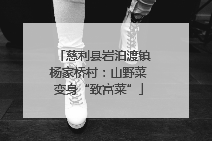 慈利县岩泊渡镇杨家桥村：山野菜变身“致富菜”