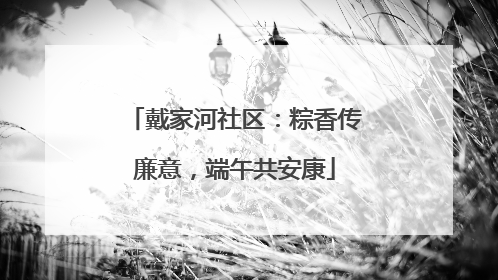 戴家河社区：粽香传廉意，端午共安康