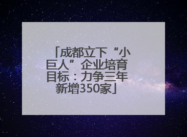 成都立下“小巨人”企业培育目标：力争三年新增350家