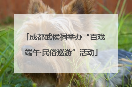 成都武侯祠举办“百戏端午·民俗巡游”活动